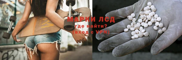 прущие грибы Абдулино