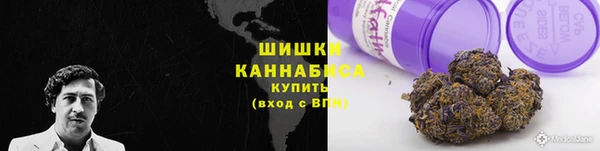 прущие грибы Абдулино